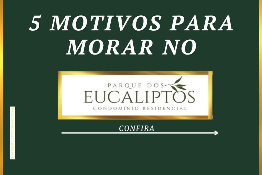 01 Motivos