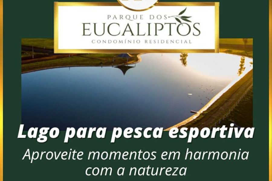 1 Lago